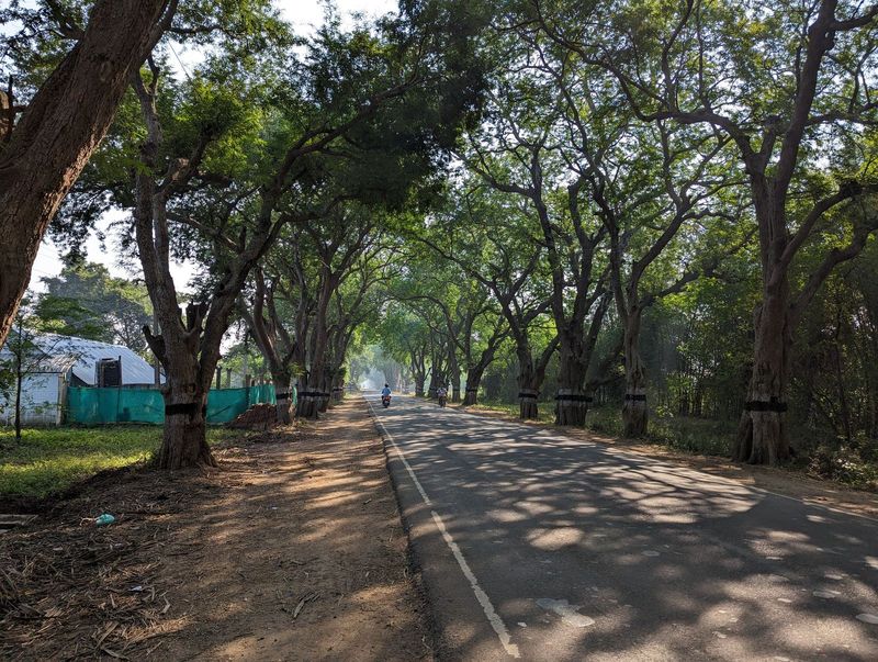 The old road from Kumbakonam to Chidambaram.