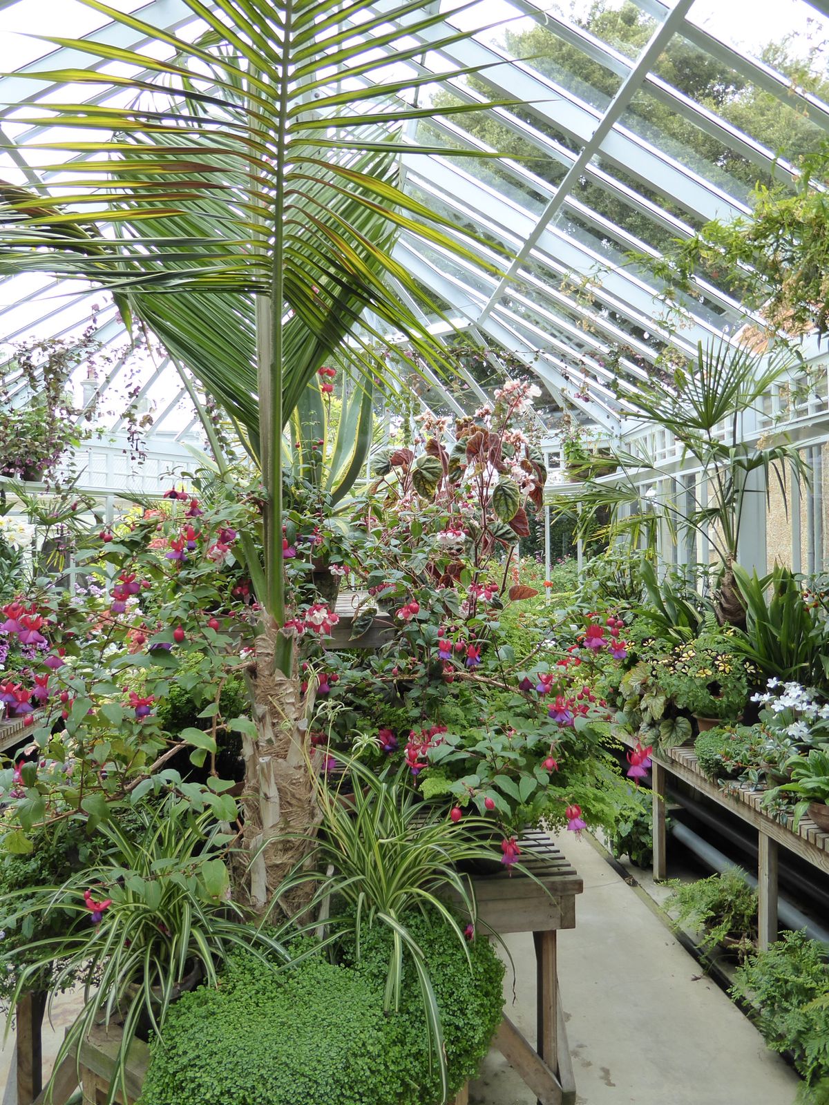 Fine greenhouse.