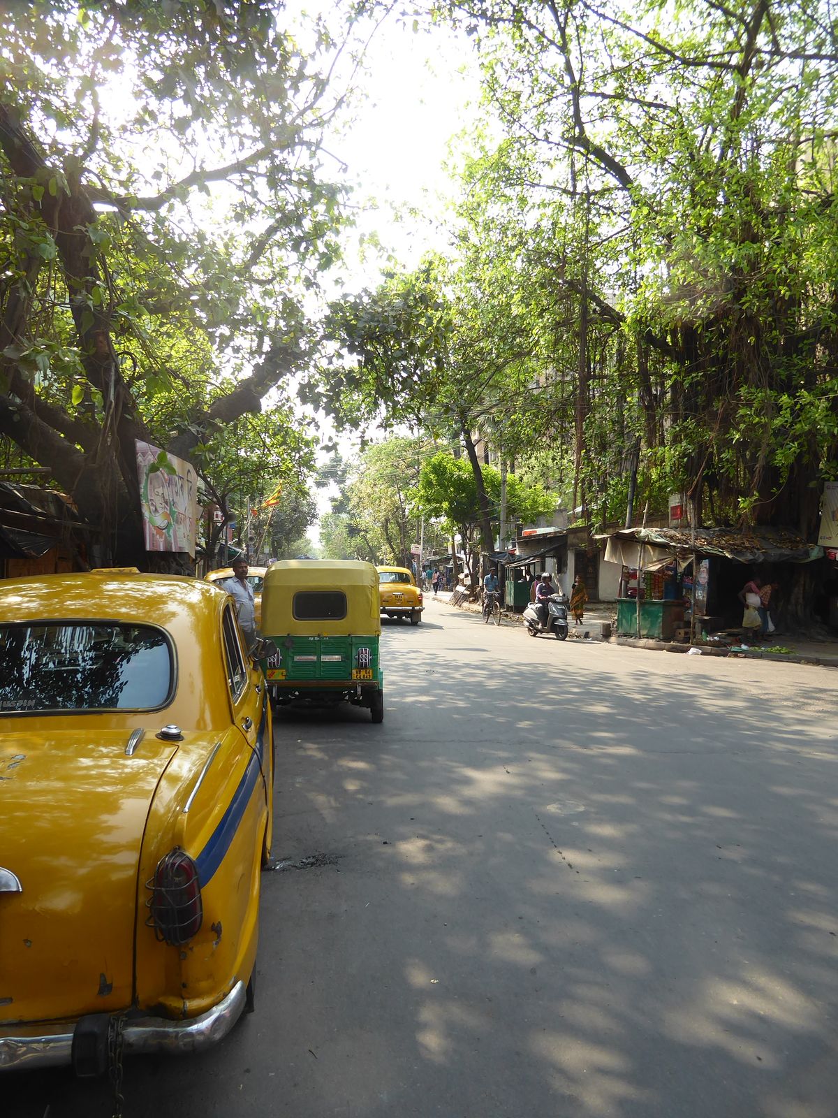The trees hint that this was once a quiet residential street.