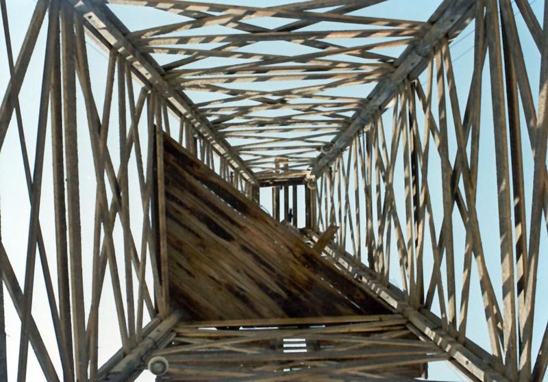 A view from the bottom up.