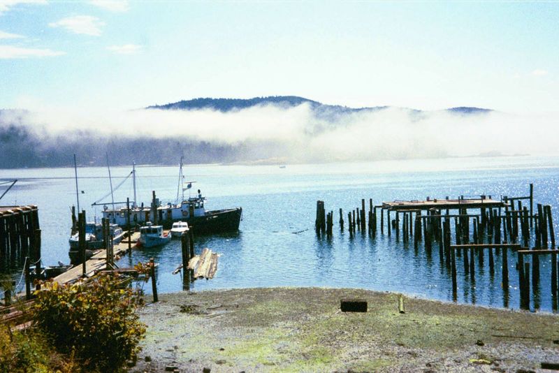 Ruined docks at Sooke Harbour symbolize the decline of the once-mighty salmon fishery.