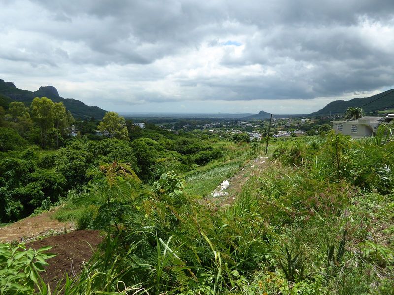 View from the same spot northwards. The coast is ahead of us 15 miles, and there's a lot of cane between here and there. You can actually se