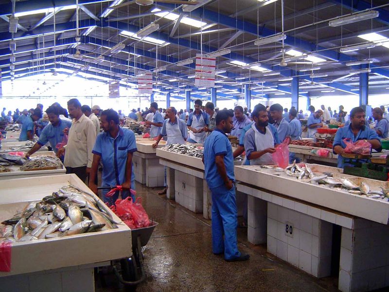 There's a real fish market here, too, at least until the oceans have been swept clean.