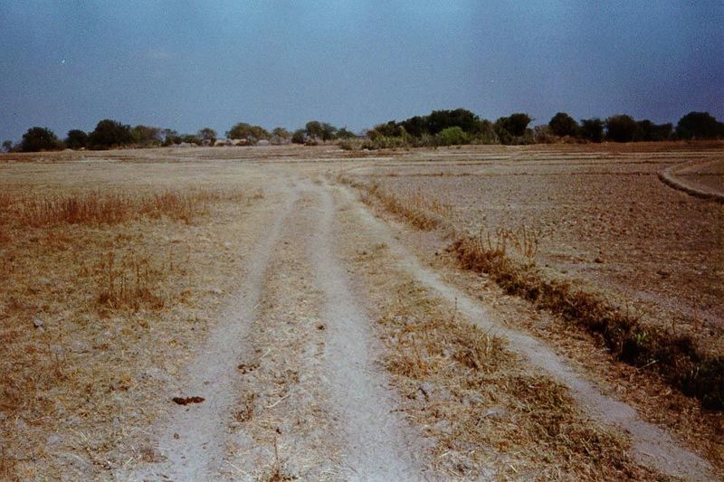 A good picture, because it really puts the village of Gopalpur in the classic context of dry and almost barren plains. This is peninsular In