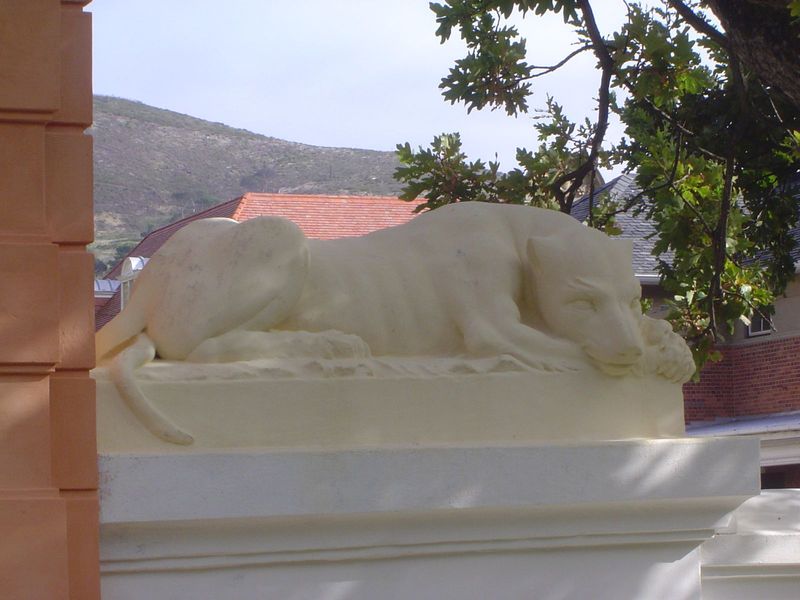 One sleek lioness.