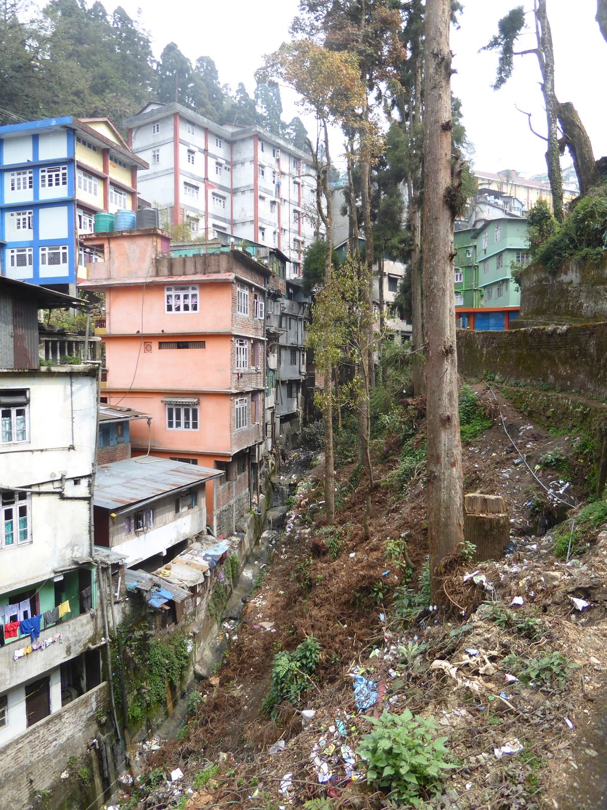 Close-up of the ravine. Fifty years ago, V.S. Naipaul got in trouble for castigating Indian sanitation. Things have improved since then, but