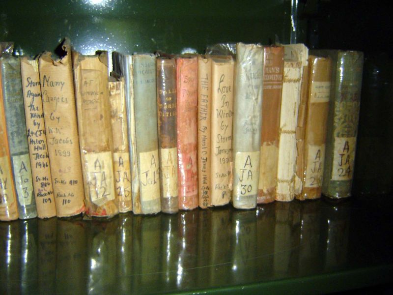 The library is a window into the mind of British India.