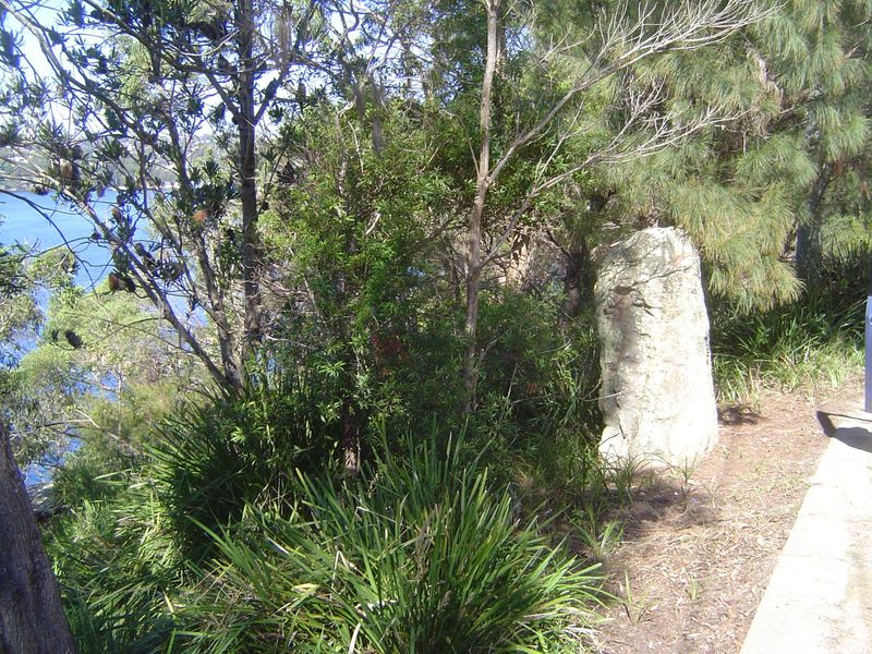 That's it: the entire width of the reserve. You have to remember that Castlecrag has over 3,000 residents, which presumably means something 