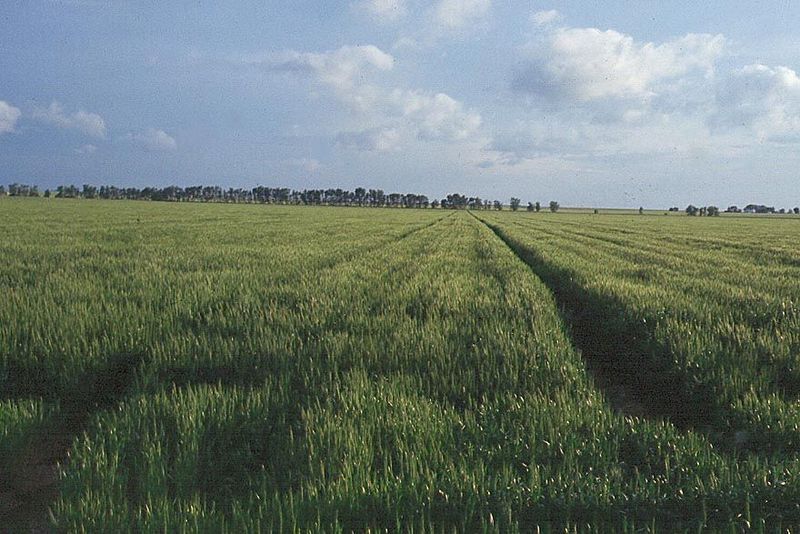 The valley became synonymous with agriculture on the grand scale.