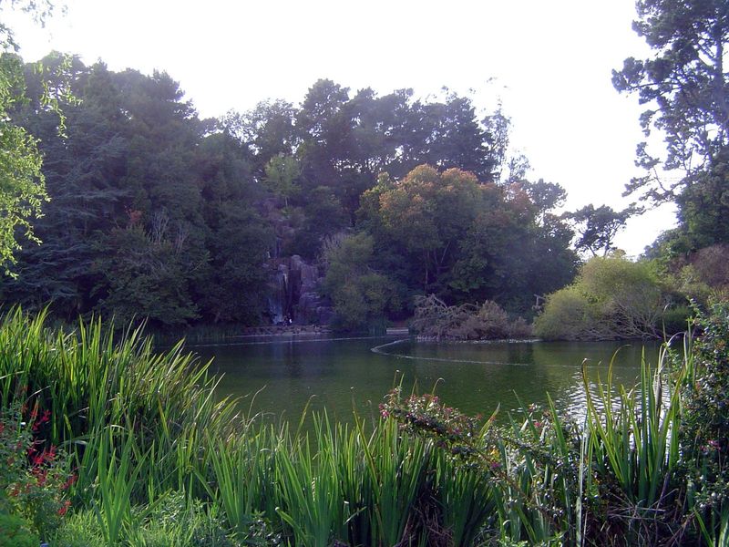 The boy headed sometimes to Golden Gate Park, where he and friends rented boats on Stowe Lake.