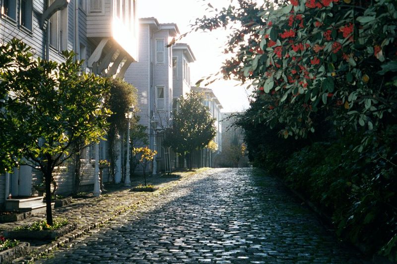 Sogukcesme Sokak, the Street of the Cold Fountain, between the walls of the Topkapi Palace and the Aya Sofya. It's an amazingly peaceful str