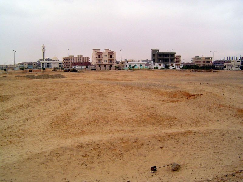 Lonely pioneers in Madinat as-Sadat, or Sadat City, a good 30 or 40 miles from the metropolis. Ugly commute, but clean air.