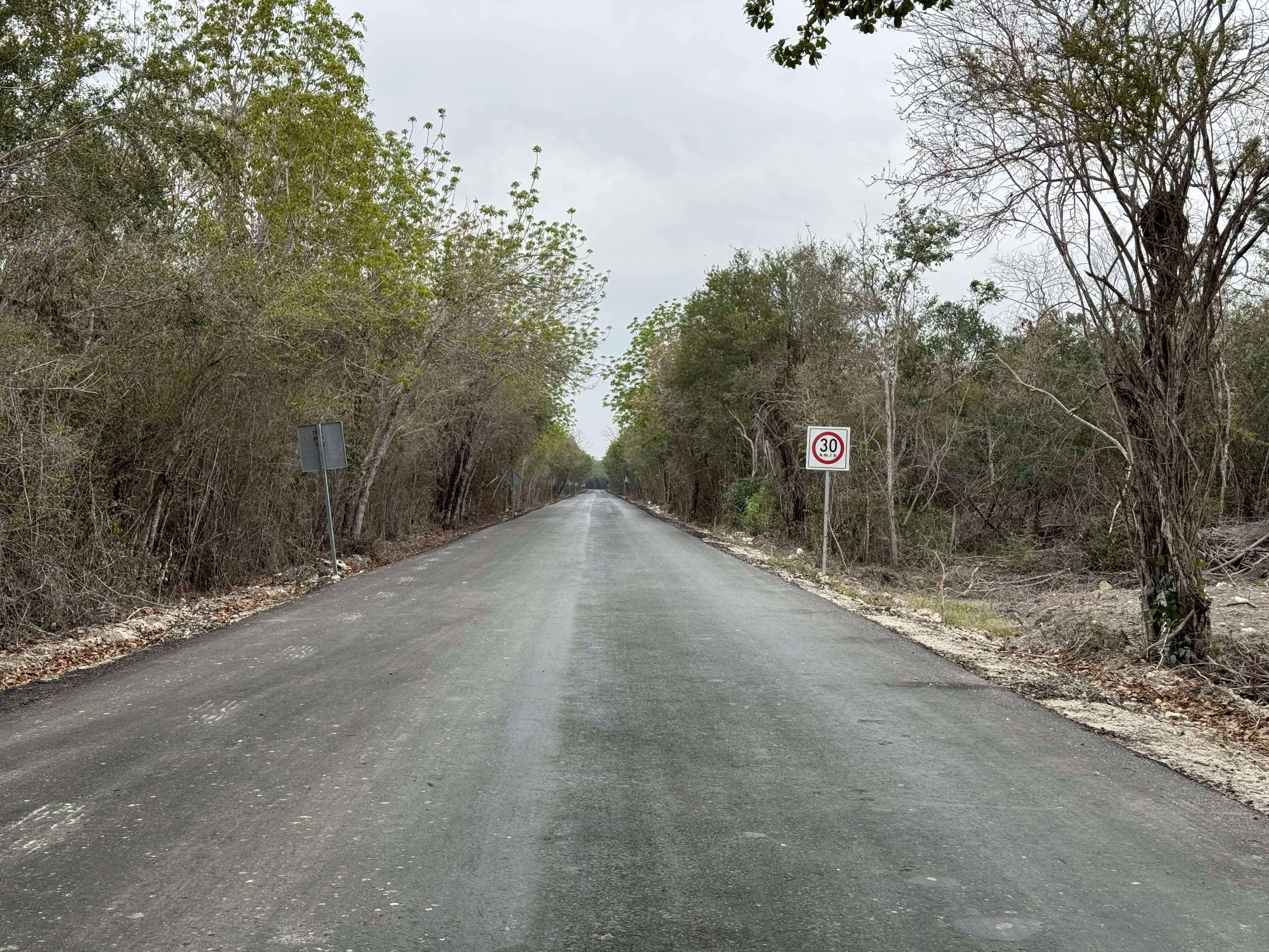 There's a hotel under construction up ahead, but I couldn't take a picture:  Guards were watching, and the Maya Train is locally unpopular.
