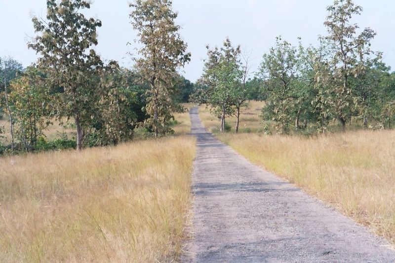 Again the approach is uneventful and almost African in its savanna airiness.