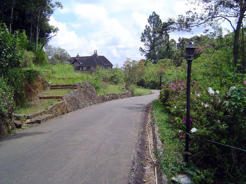 Farther uphill, the approach road to the ultimate planter's bungalow.