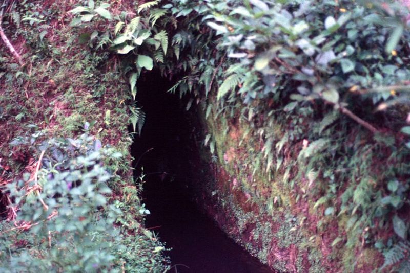 If necessary, the subaks will bring the channels through tunnels carved in the soft volcanic material.