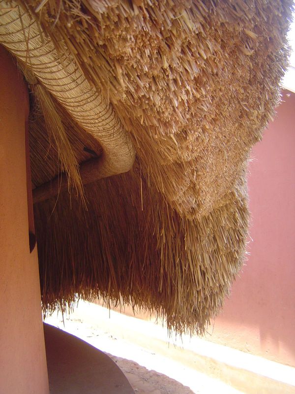 Only the lowest bundles of thatch were tied to the rings; higher ones rested unattached and could be removed when decayed. The lowest bundle
