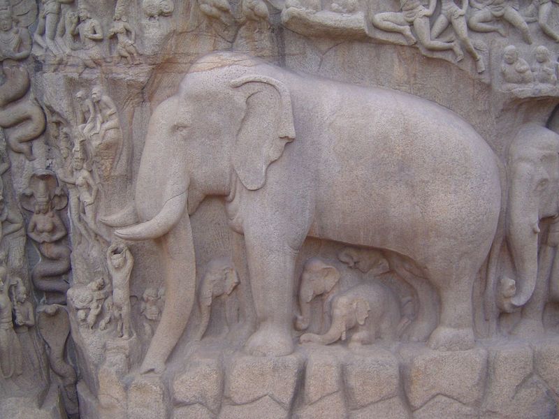 Lots of animals are attracted to the cascade, including an elephant and her young.