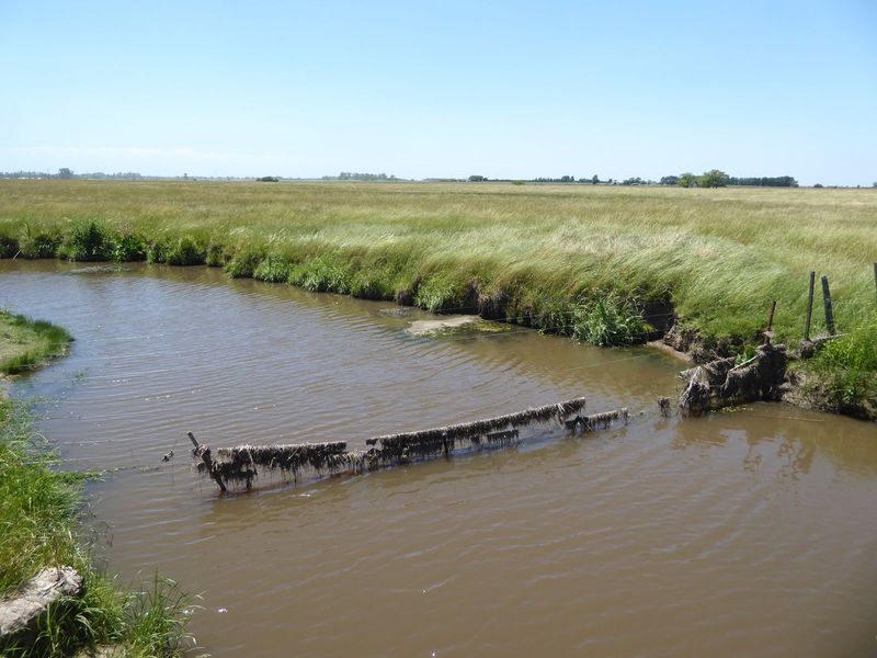 The open range was eventually fenced, even at creeks.