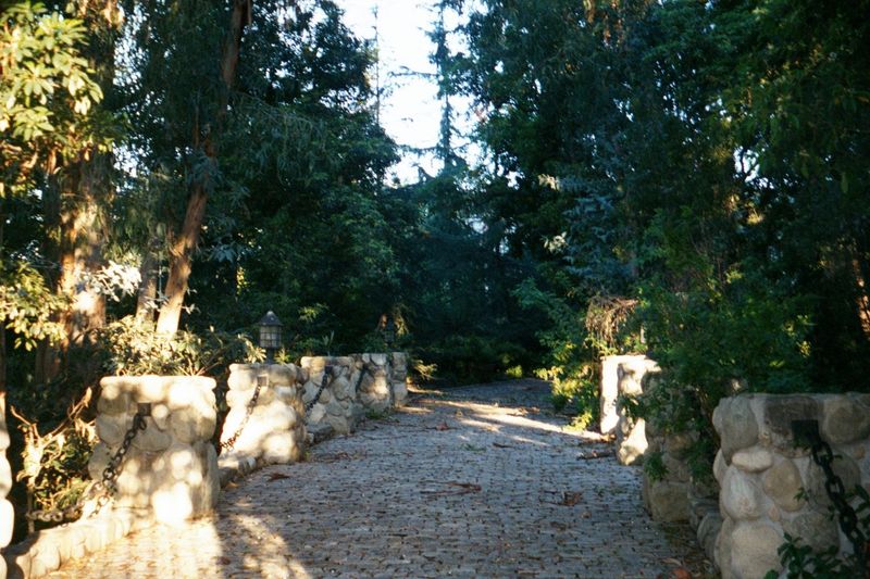 What hath money wrought? An upscale Beverly Hills driveway.