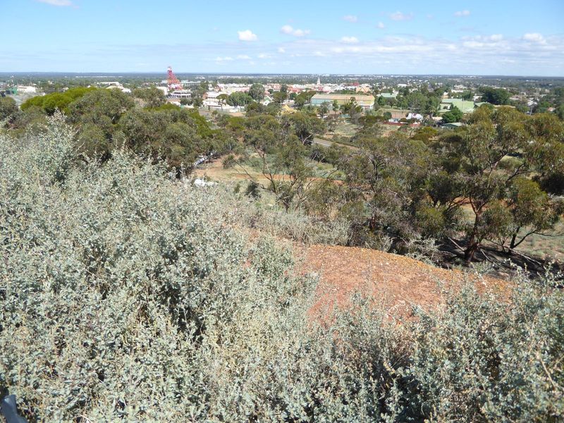 The view back to town from the hilltop takes in a bit of forest, the museum headframe, and the brick buildings along Hannah Street.