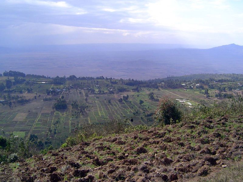 The setting is the north side of the Rift Valley, the Mau Escarpment, where a field is being prepared the hard way.