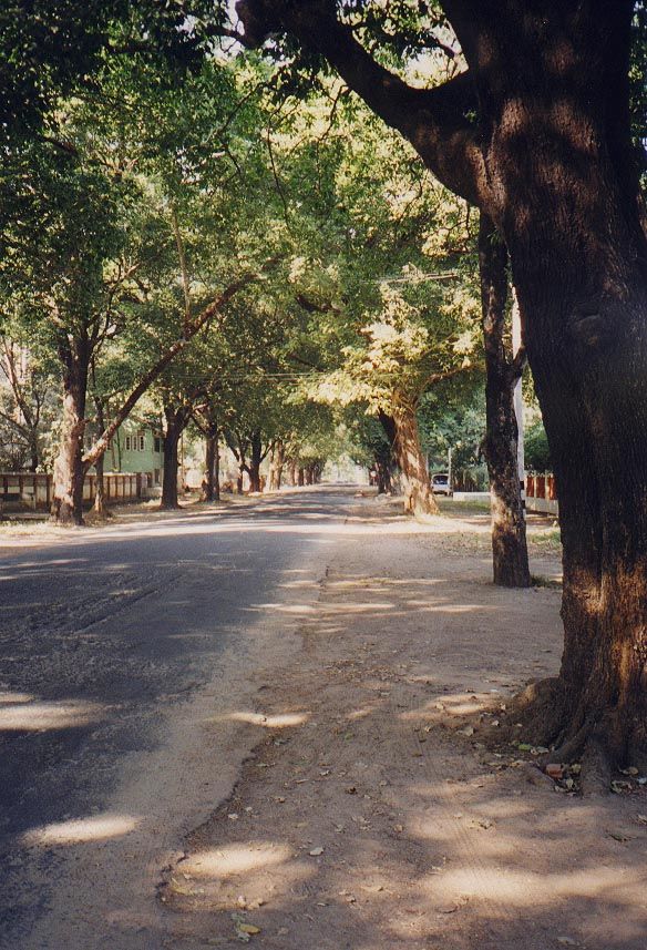A street in the same neighborhood.