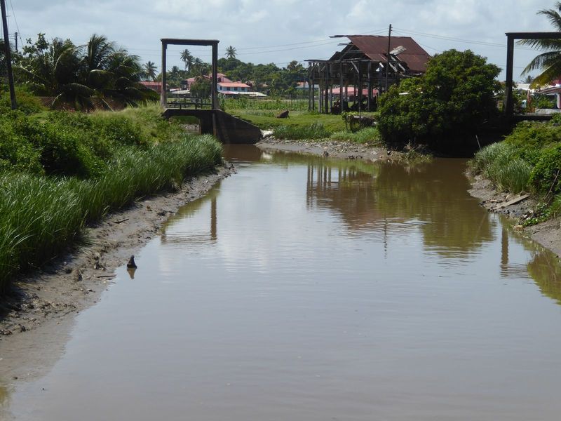 Same place as last photo but looking upstream to include other kokers.