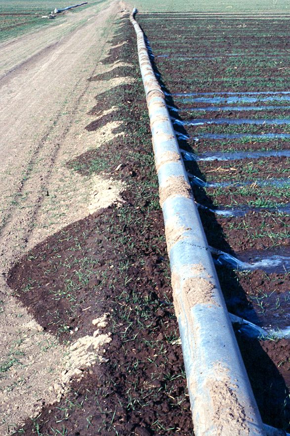 Voila. It's probably groundwater. The supply is finite. And then?