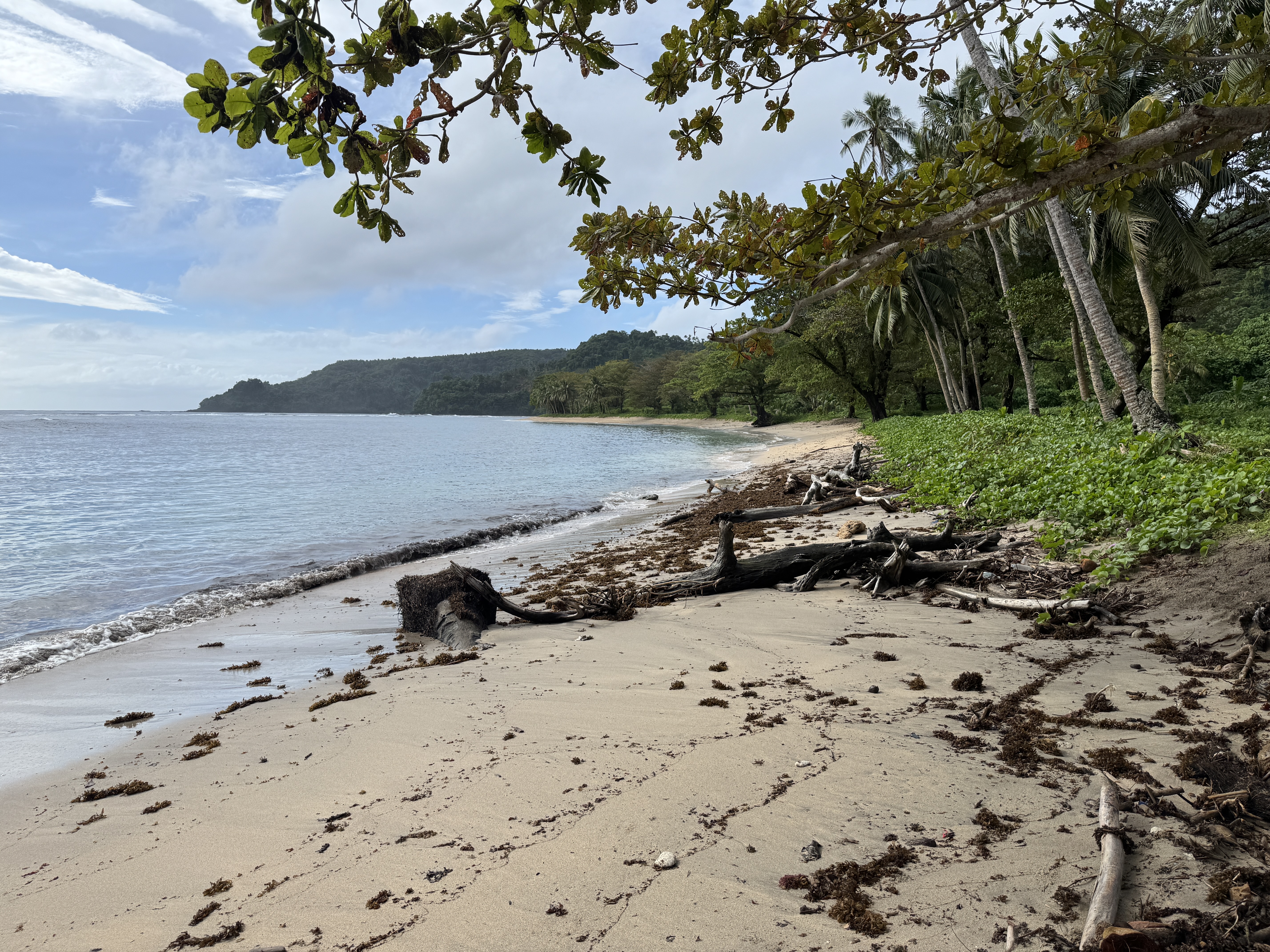 Bring your lunch.  Water, too.  Writing of the period before World War I, a leading German businessman in Samoa wrote: "We almost always tra