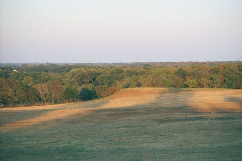 Those settlers found themselves on or near an ecotone, with grasslands to the west and oak forest—the Crosstimbers—to the east. Both were ho