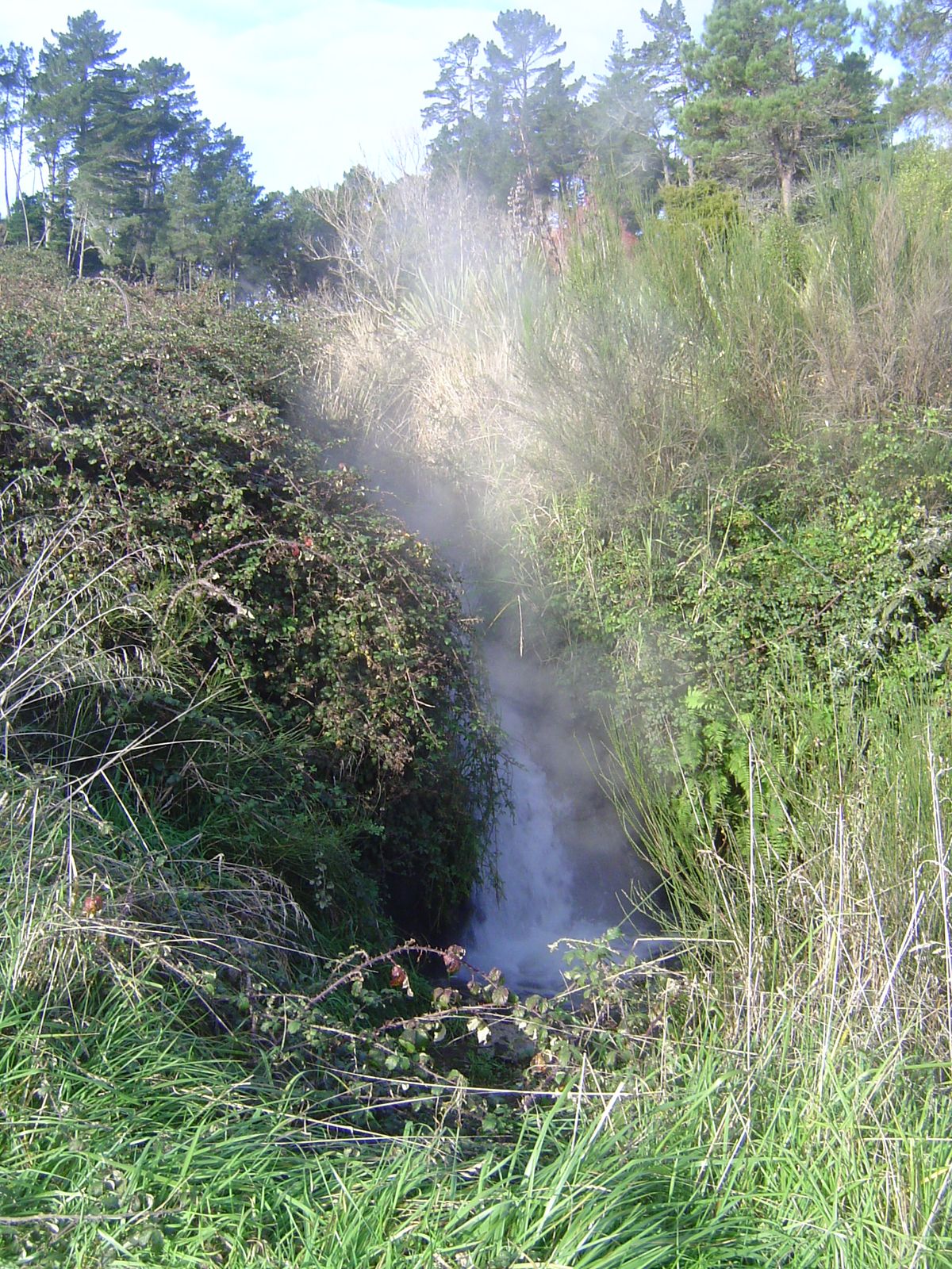 A warm cascade.