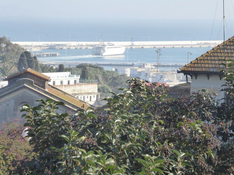 It includes ferries to Tarifa, Spain, but you knew that from Jason Bourne.