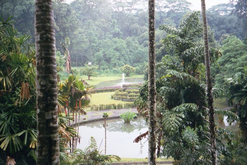 The garden is both a landscape garden, laid out with an eye to beauty, and a botanical collection used by the Dutch to develop plants of com