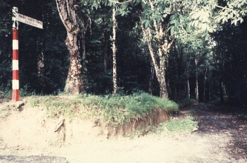 Mondo Nuevo Trace, a road in the forest west of Toco.