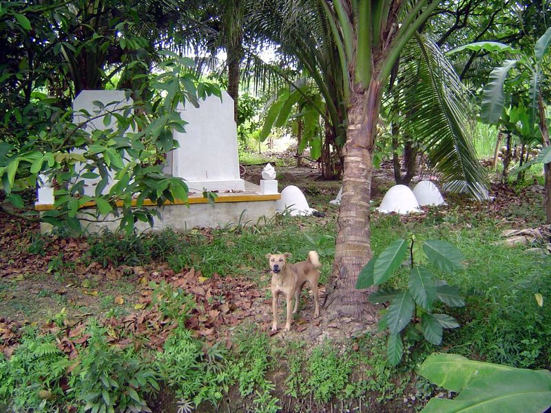 Cemetery.