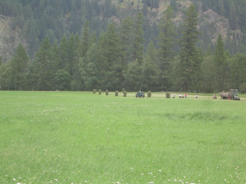 Haymaking near Langenfeld. It's a last glimpse of flat land.