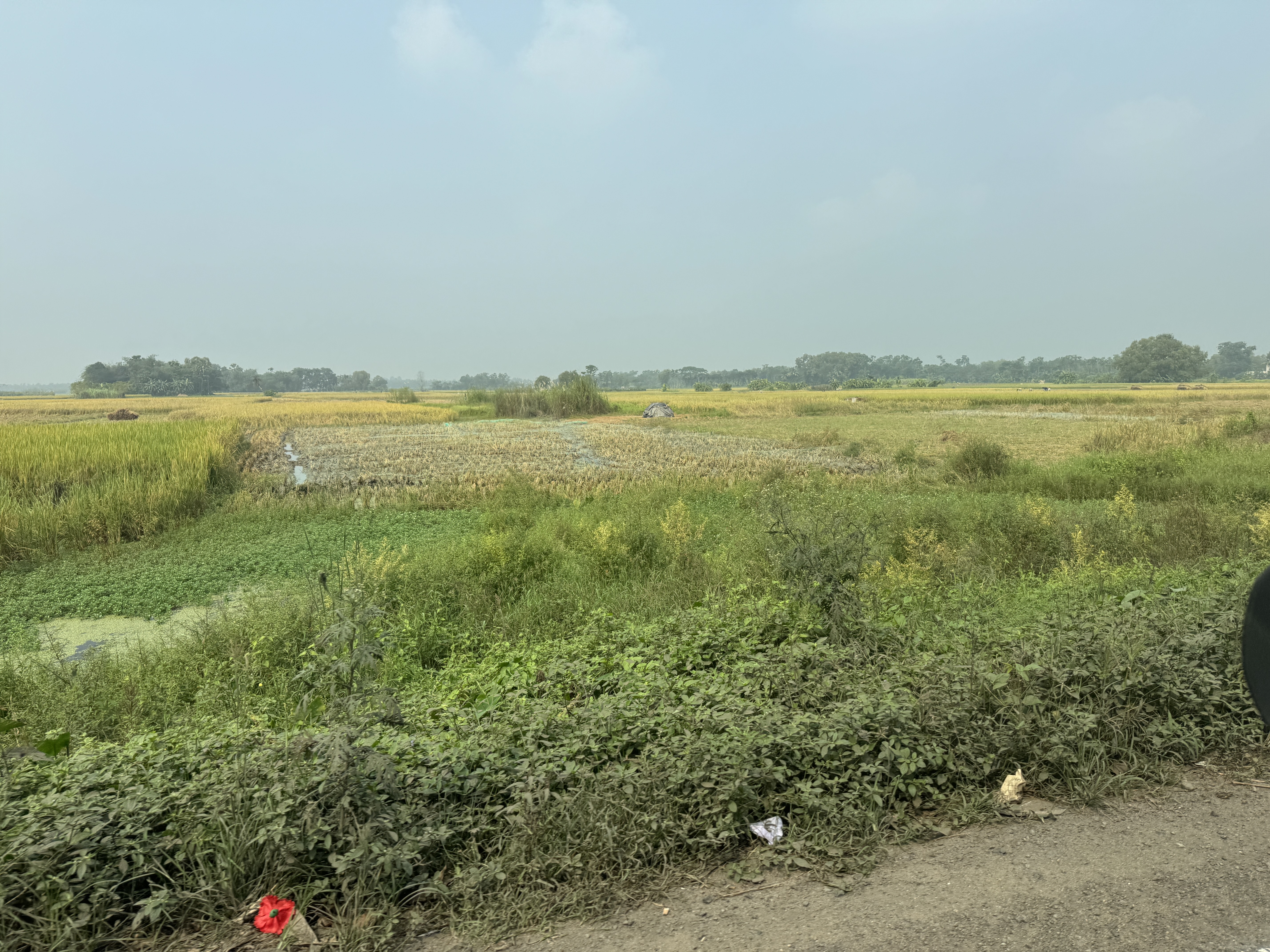 We break free of Calcutta about 15 miles north of the airport and near Uludanga.