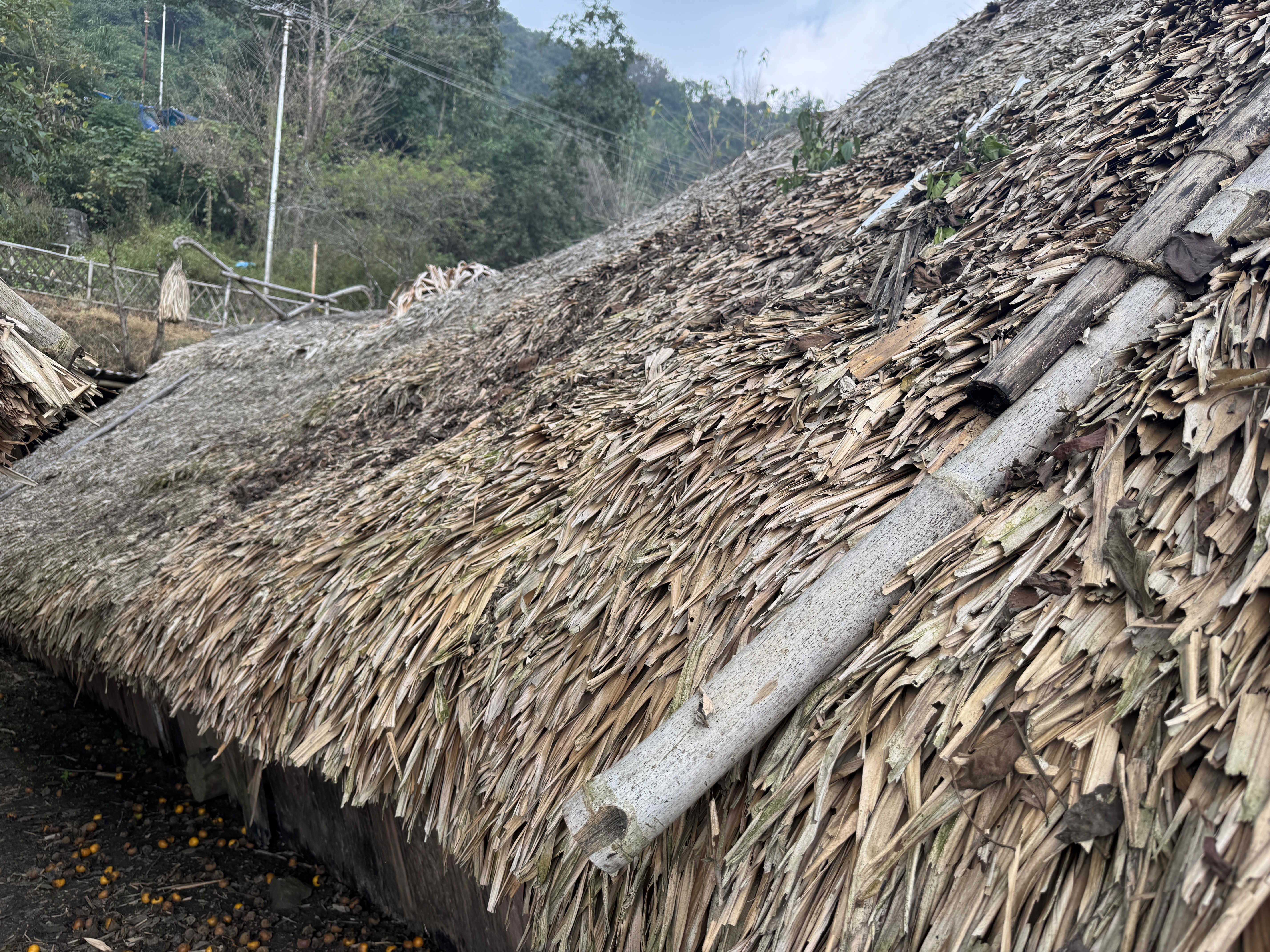 Thatching materials vary.  Here's one.