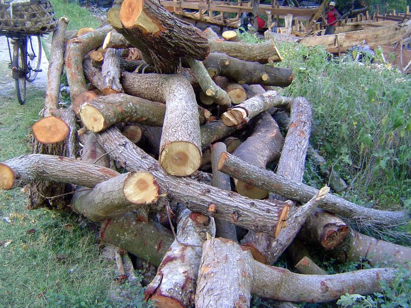Speaking of shipping, consider this pile of logs. See the connection?