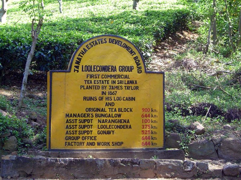 Nationalized some years ago, the plantation is run by a parastatal.