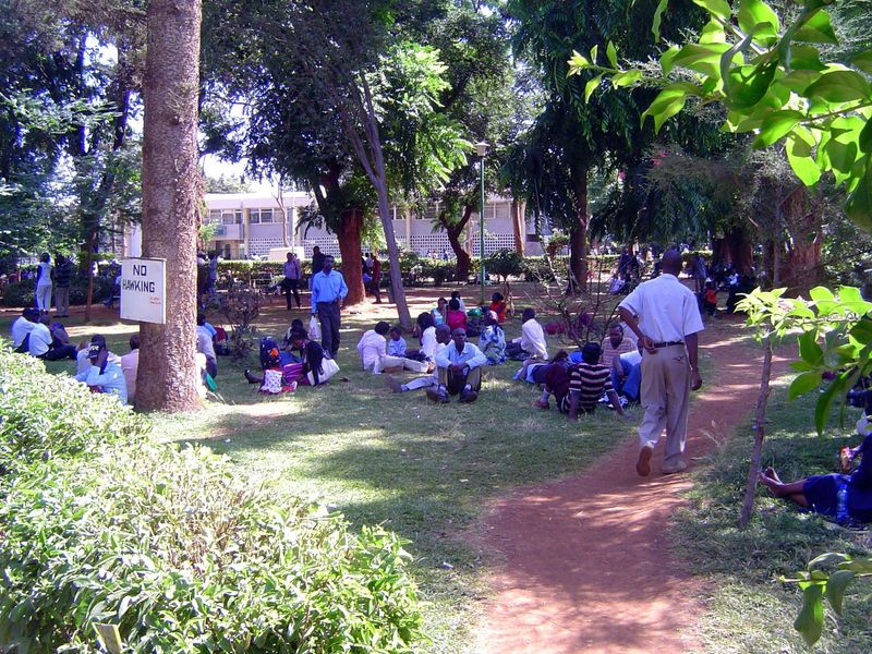 The park—Wangari Gardens, named for the Nobel laureate—is a popular place.