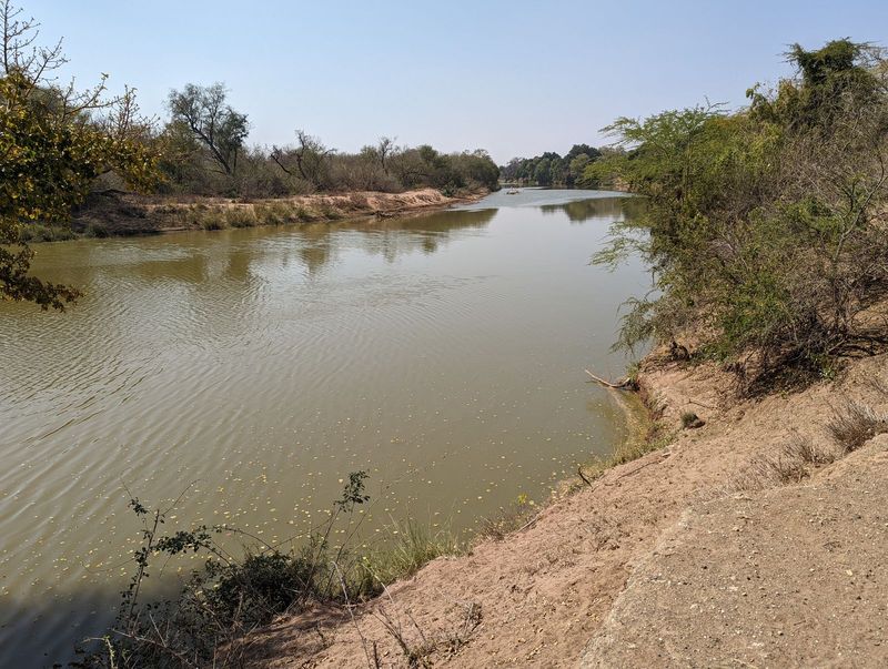 The water for the tomatoes and oranges comes from Kipling's great, green, not-so-greasy Limpopo. Keep an eye out for crocodiles.