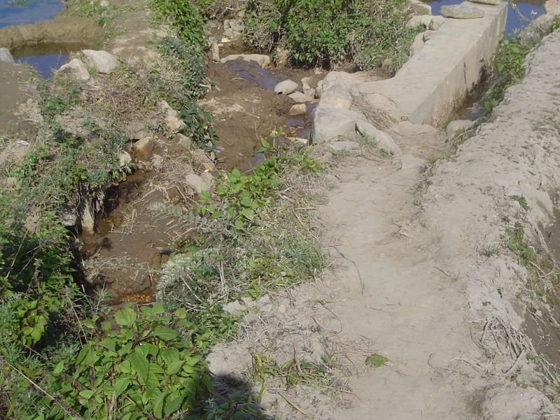 Complicated? The main channel is sheathed in weeds. Branches take off to both left and right.