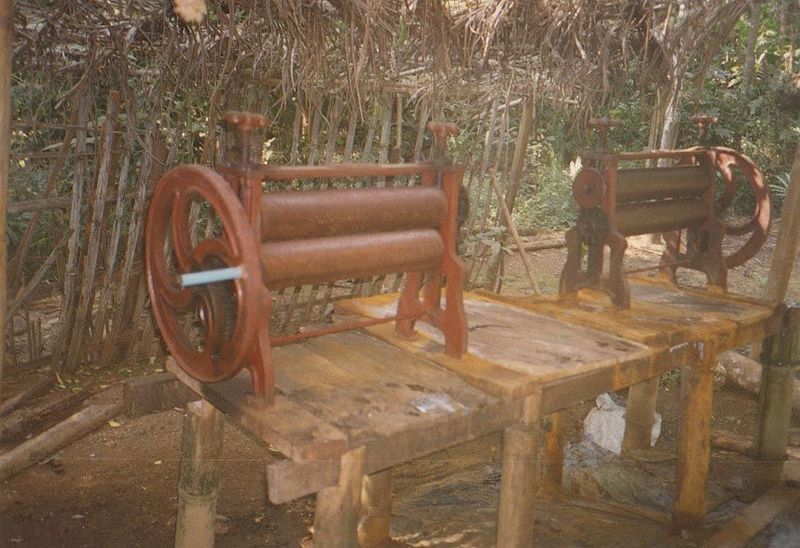 Behind hundreds of road-hugging houses there are not only small rubber-tree groves and pans to treat the sap but also rollers like these, wh