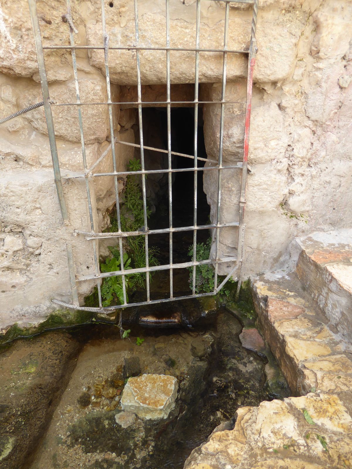 The center of Artas is its mosque, and the mosque is located close to the town's germinal spring, now sadly barred.