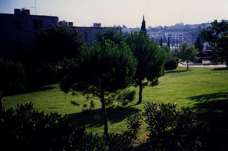 Few Hebronites enter Kiryat Arba, although some work in it. It's probably a good thing, for the sight of lawns like these would be almost an