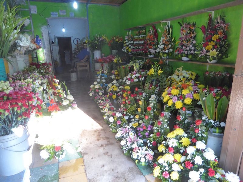 The streets of Silao are gritty, but somebody here likes flowers. These ones smelled good, too.
