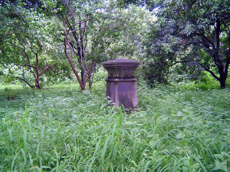 Overgrown.