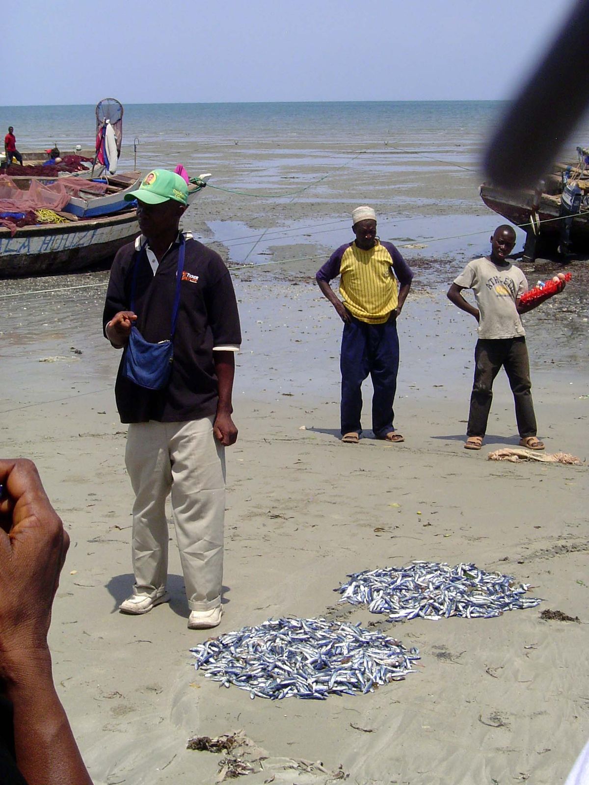 No, it's an auction for today's catch—and a grim one it is for anyone wondering about the future of the world's fish stocks.